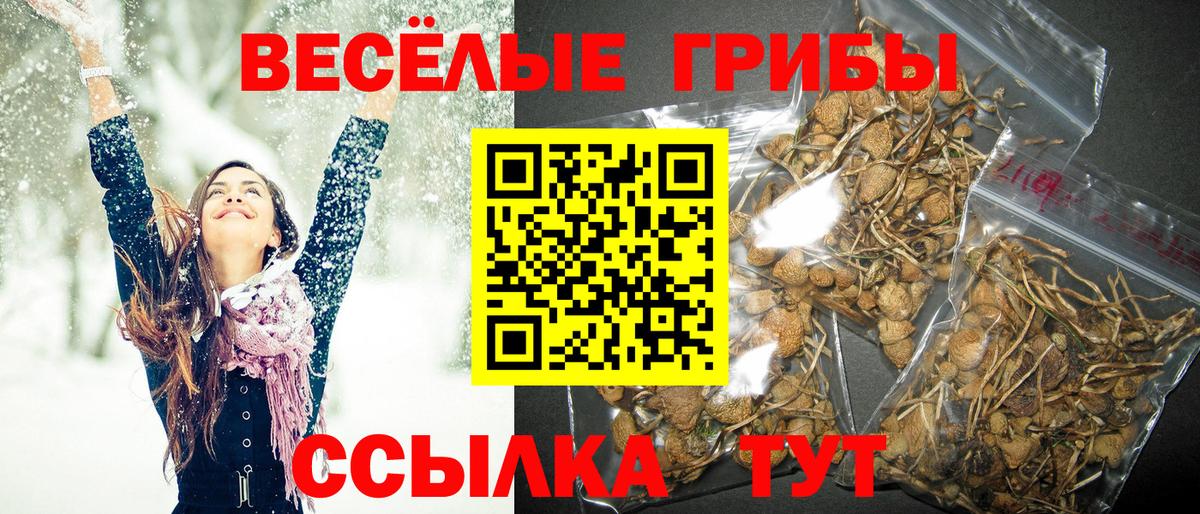 Галлюциногенные грибы GOLDEN TEACHER  Псилоцибиновые грибы GOLDEN TEACHER  Волхов  Вход с VPN 